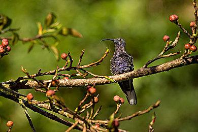 《最后的生还者》HBO剧集制作人：这是有史以来最伟大的游戏故事